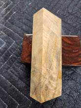 Horse Chestnut Curly Knife Scale