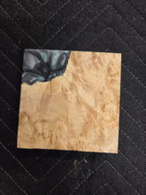 Box Elder Turkey Pot Hybrid