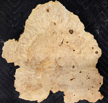Box Elder Burl cap