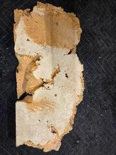 Box Elder Burl Slab
