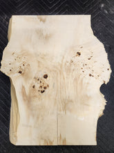 Box Elder Burl Slab