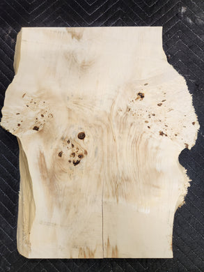 Box Elder Burl Slab