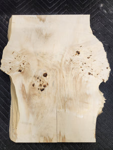 Box Elder Burl Slab