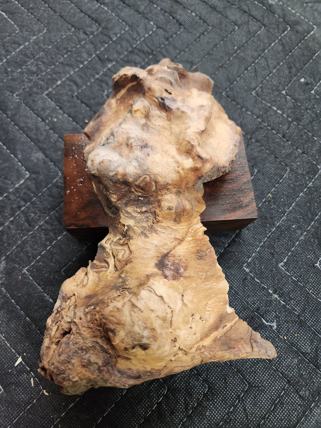 Casting Cherry burl cap