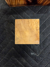 Box Elder Bottlestopper Hybrid