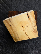 Hybrid Horse Chestnut Turkey Pot
