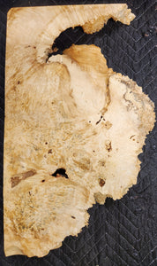 Box Elder Burl Slab