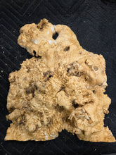 Box Elder Burl Cap