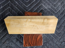Cottonwood Knife Scale