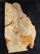 Box Elder Burl Slab