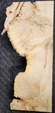 Box Elder Burl Slab
