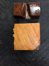 Apricot