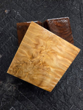 Stabilized Horse Chestnut Turkey Pot