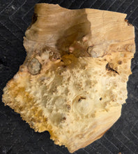 Box Elder Burl Cap