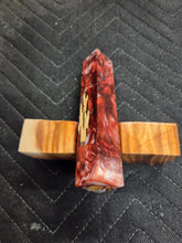 Cholla Cactus Hybrid Pen Blank