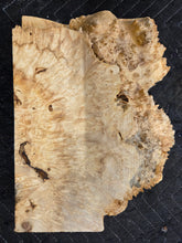 Box Elder Burl Slab