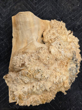 Box Elder Burl cap