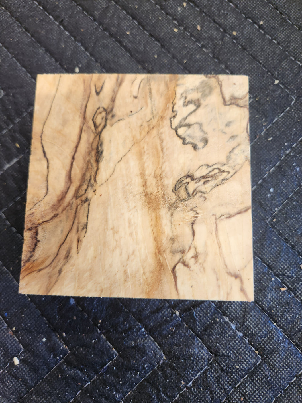 Horse Chestnut Turkey Pot Call