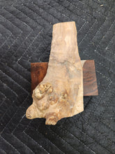 Casting Horse Chestnut