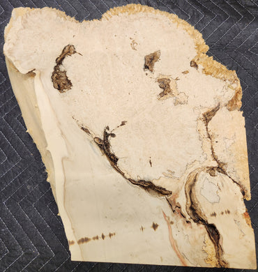 Box Elder Slab