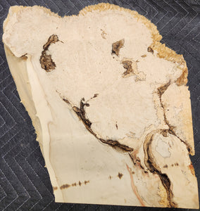 Box Elder Slab