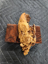 Casting Cherry burl