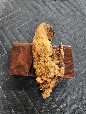 Casting Cherry burl