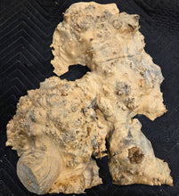 Box Elder Burl Cap