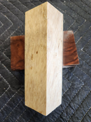 Box elder Burl