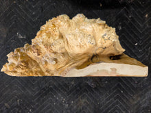 Box Elder Burl Cap