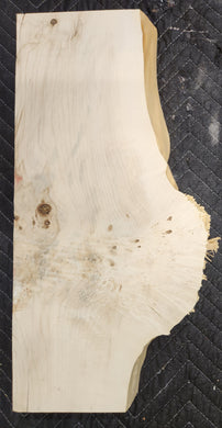 Box Elder Burl Slab