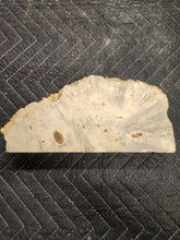 Box Elder Slab