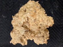 Box Elder Burl cap