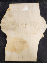 Box Elder Burl Slab