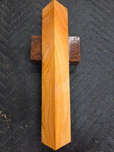 Apricot
