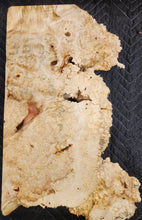 Box Elder Burl Slab