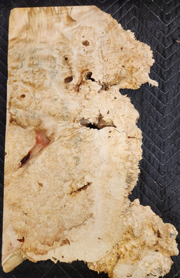 Box Elder Burl Slab