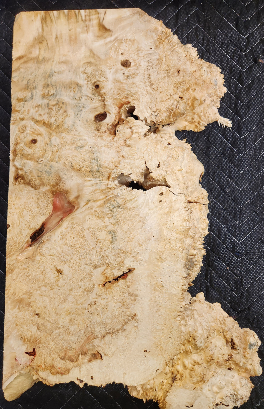 Box Elder Burl Slab