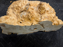 Box Elder Burl cap