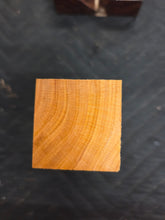 Apricot