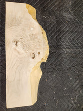 Box Elder Burl Slab
