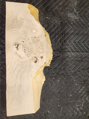 Box Elder Burl Slab