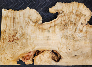 Box Elder Burl Slab