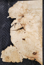 Box Elder Burl Slab