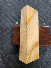 Horse Chestnut Curly Knife Scale