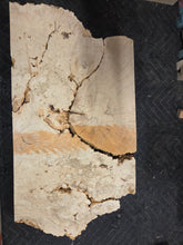 Box Elder Burl Slab