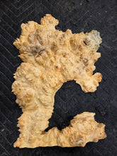 Box Elder Burl cap