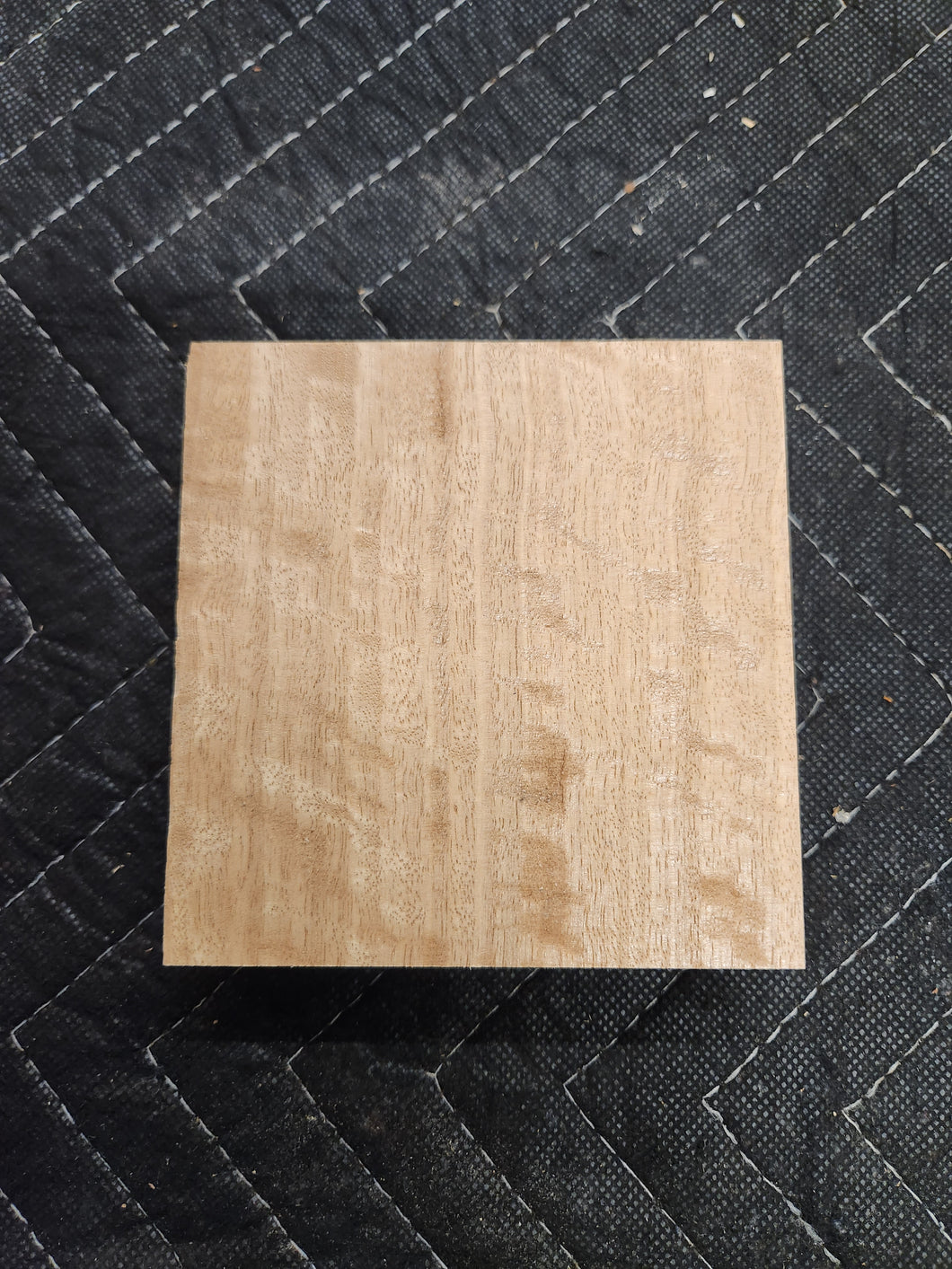 Eucalyptus Turkey Pot