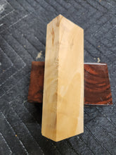 Horse Chestnut Curly Knife Scale