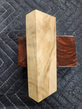 Cottonwood Knife Scale